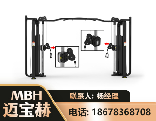 商丘大飞鸟训练器