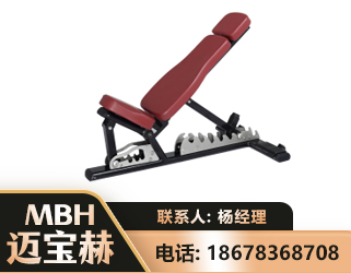 商丘可调哑铃椅
